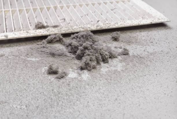 Best HVAC Maintenance and Cleaning  in Springfield, VA